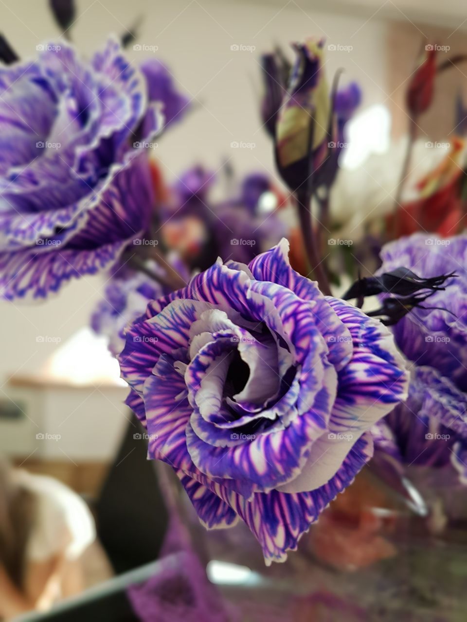 Motley lilac-blue roses. Art roses.