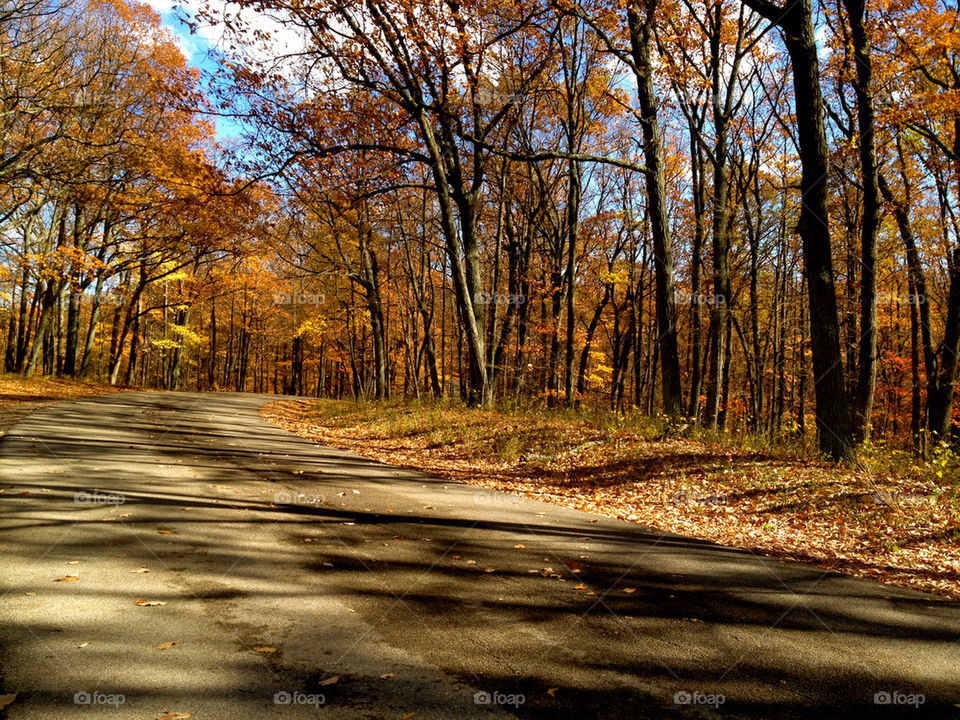 BROWN COUNTY ROAD