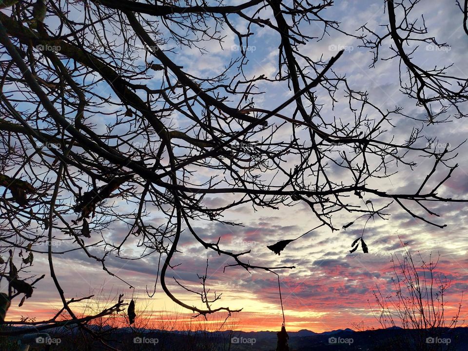 sunrise in the countryside