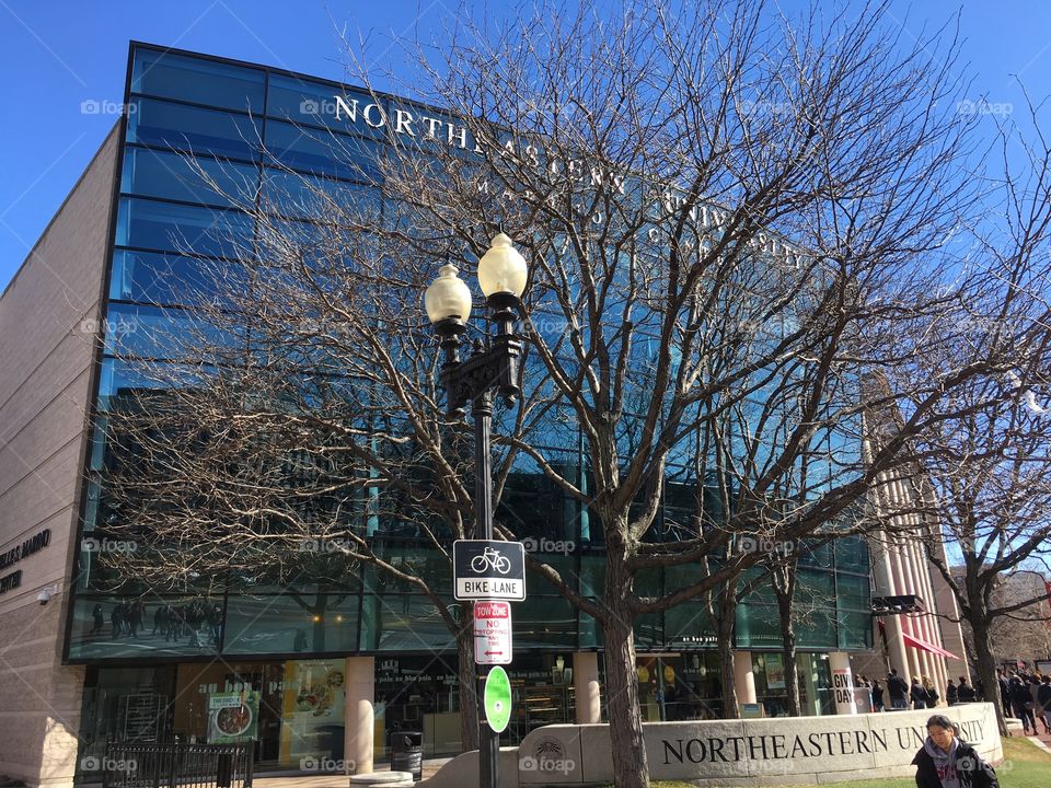 Northeastern University in Boston