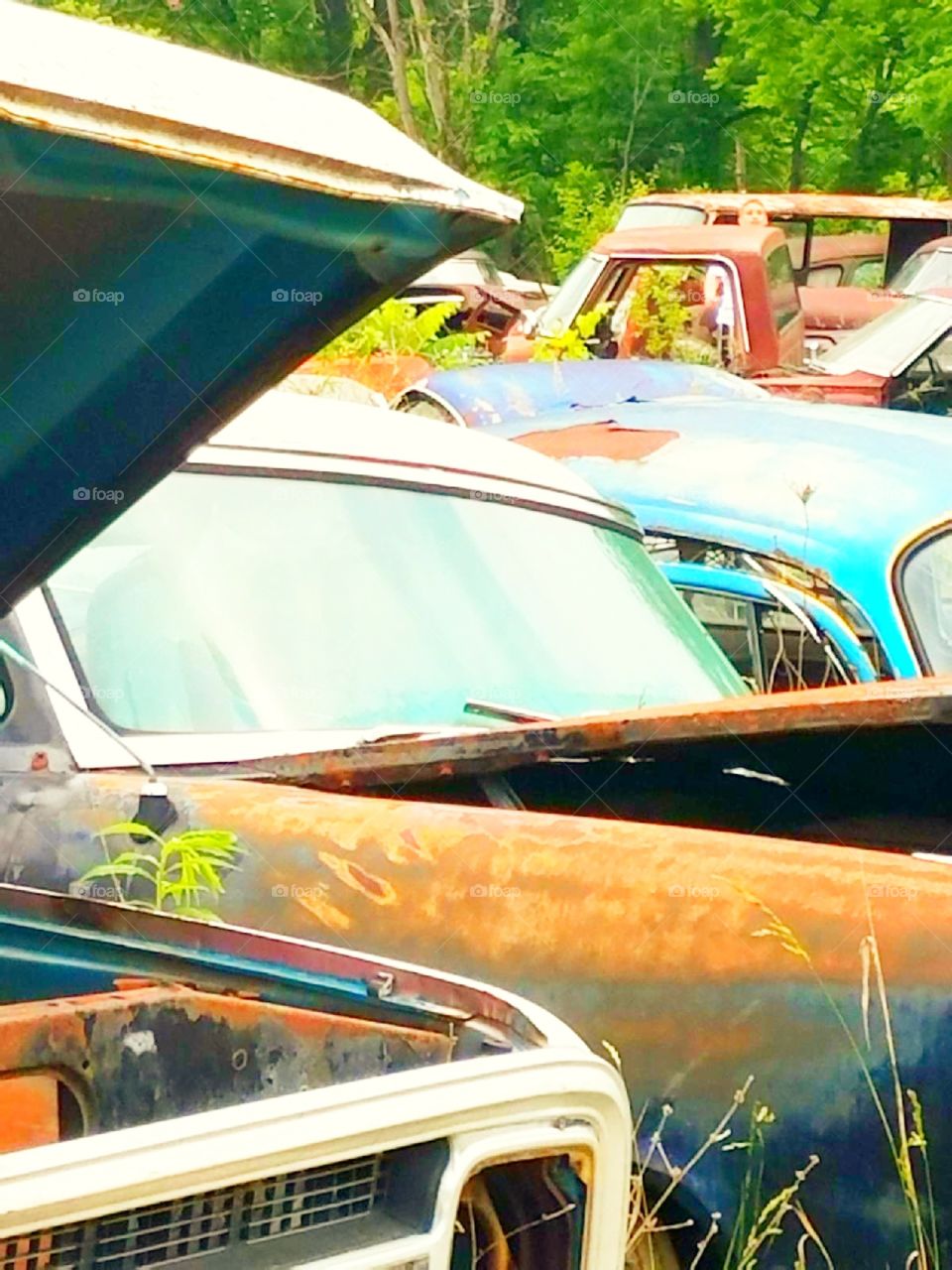 old junk yard