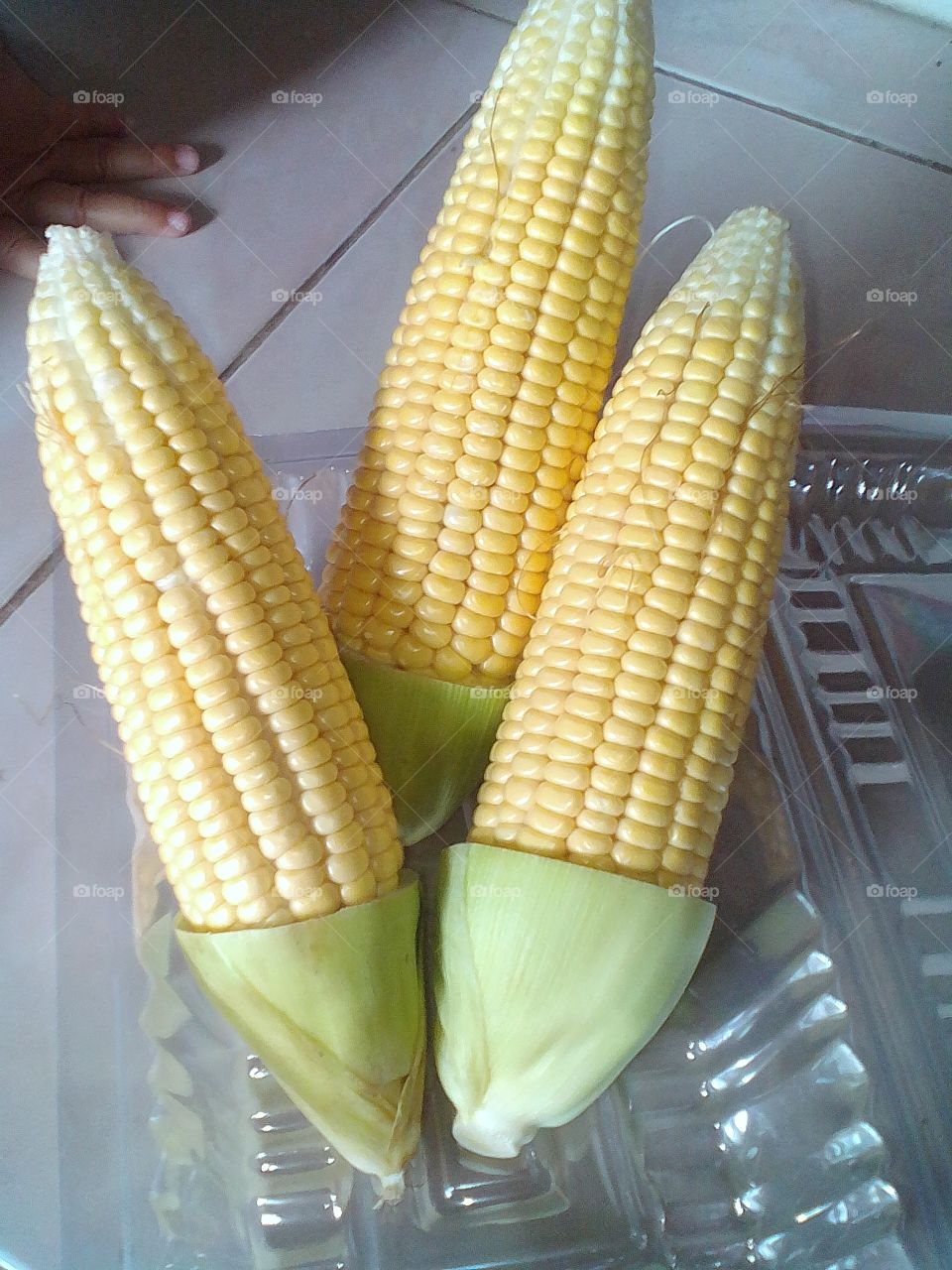 sweet corn