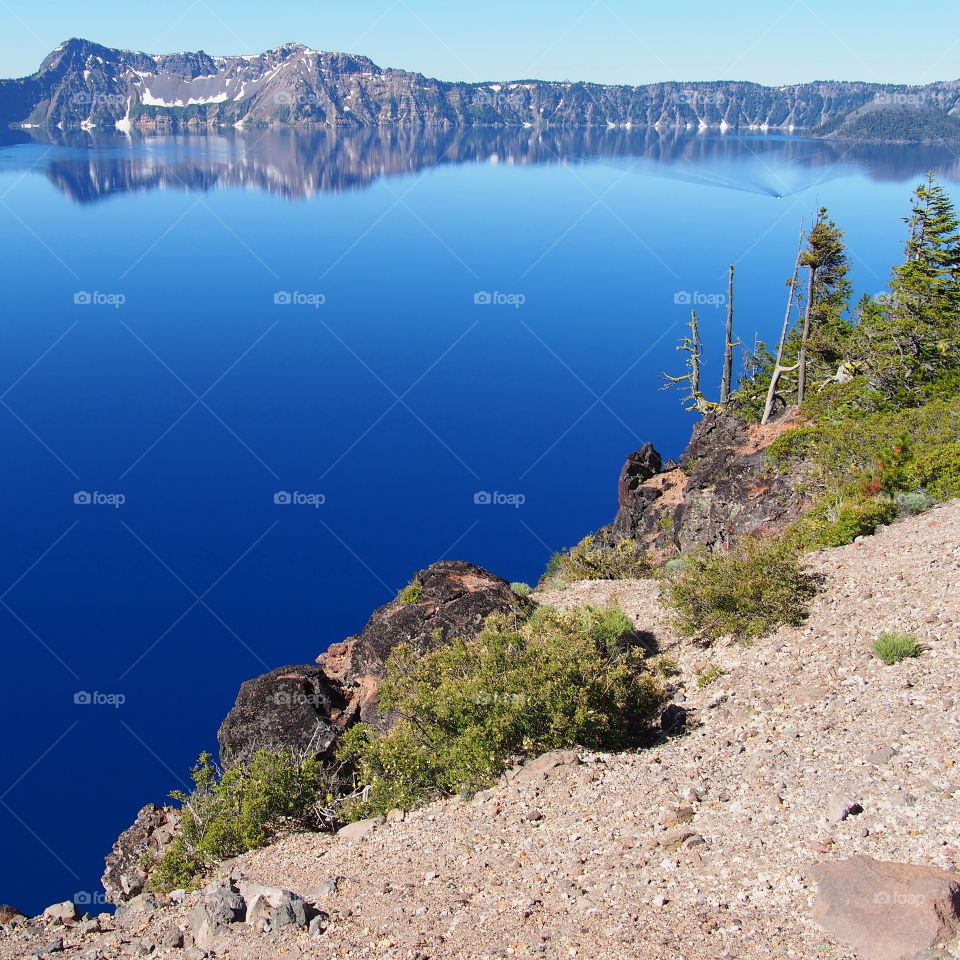 The steep tree and boulder covered ledge into the deep rich blue waters of Crater Lake with Wizard Island and the reflecting in the water in Southern Oregon on a beautiful summer morning. 
