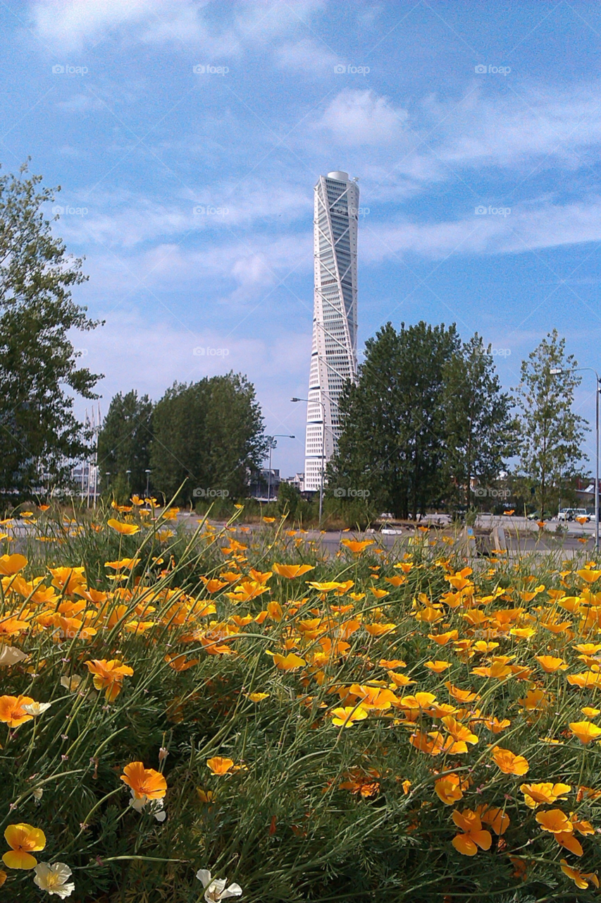 malmö turning torso vallmo sweden by NinniHL