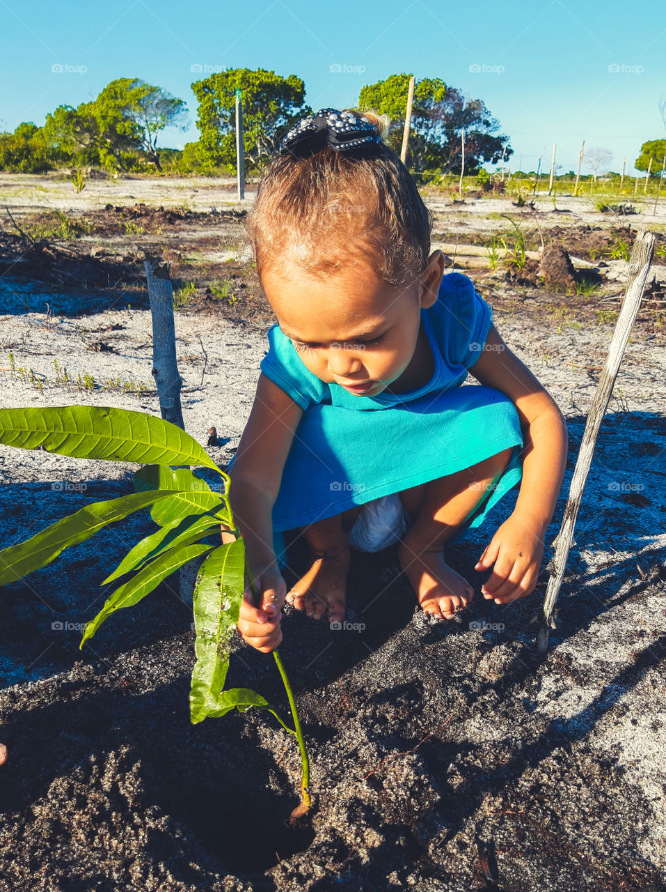 Planting for the future to be able to harvest