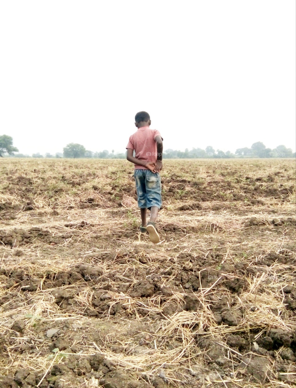 1 photo of a boy,1 representing a good photo,boy in the field, a natural sight and 1 photo of a boy, no.  1 excellent photo,1 poor boy photo,1 great photo of great weather, 1 natural photo,1 real natural photo,1 great photo for mission