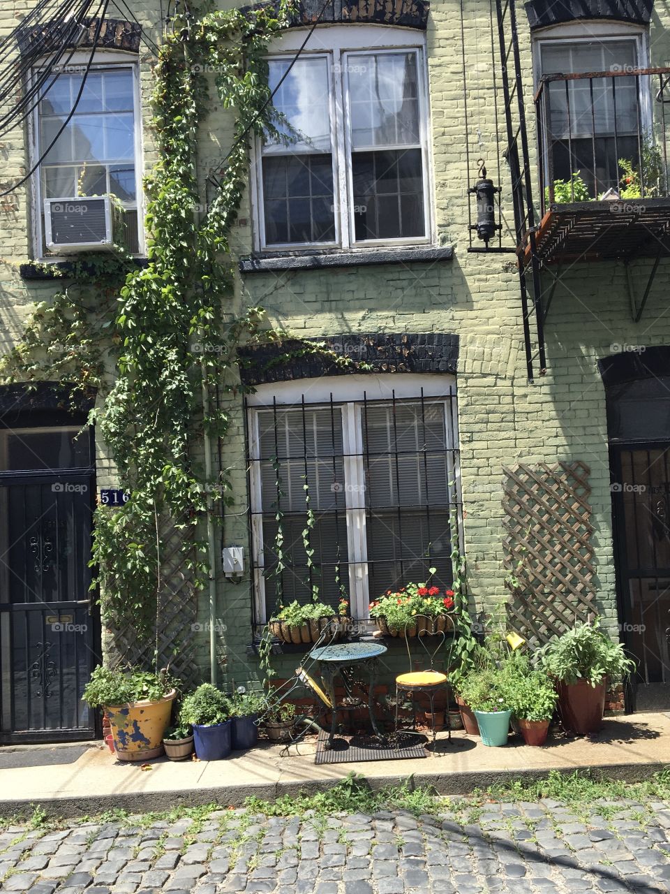 Ivy-covered green brick building with plants, red flowers and cobblestone street
