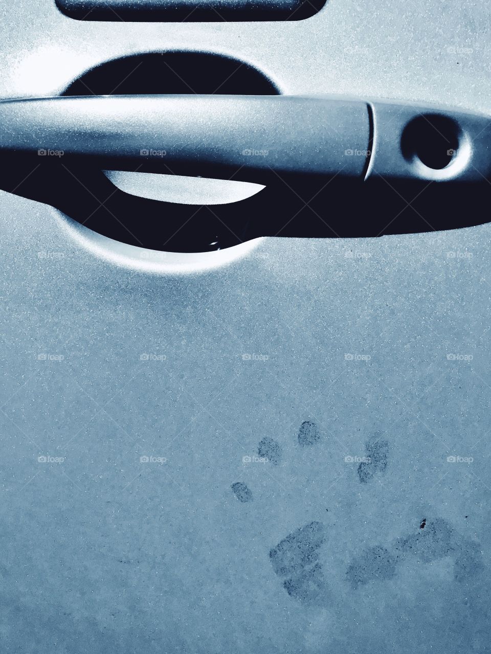 I know who put a handprint into my car’s door, that Little tiptoe is busy today. 