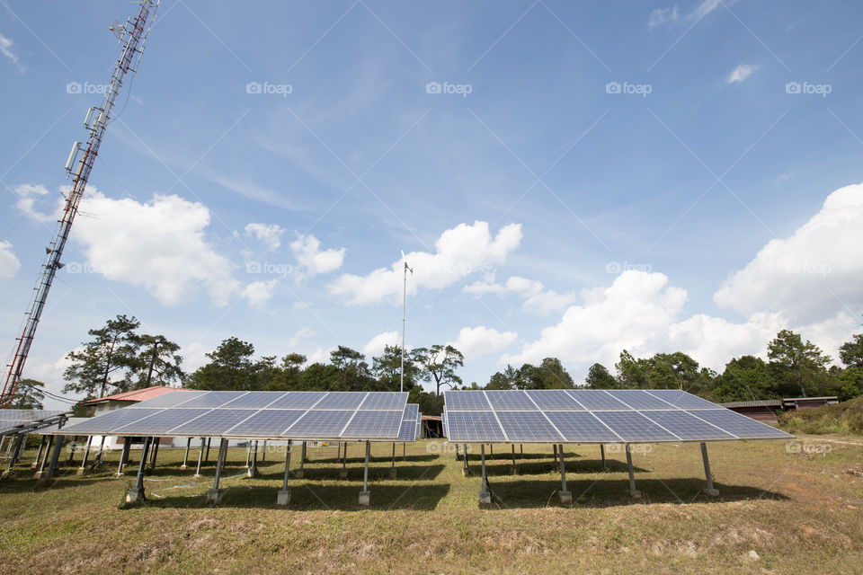 Solar cell in the field