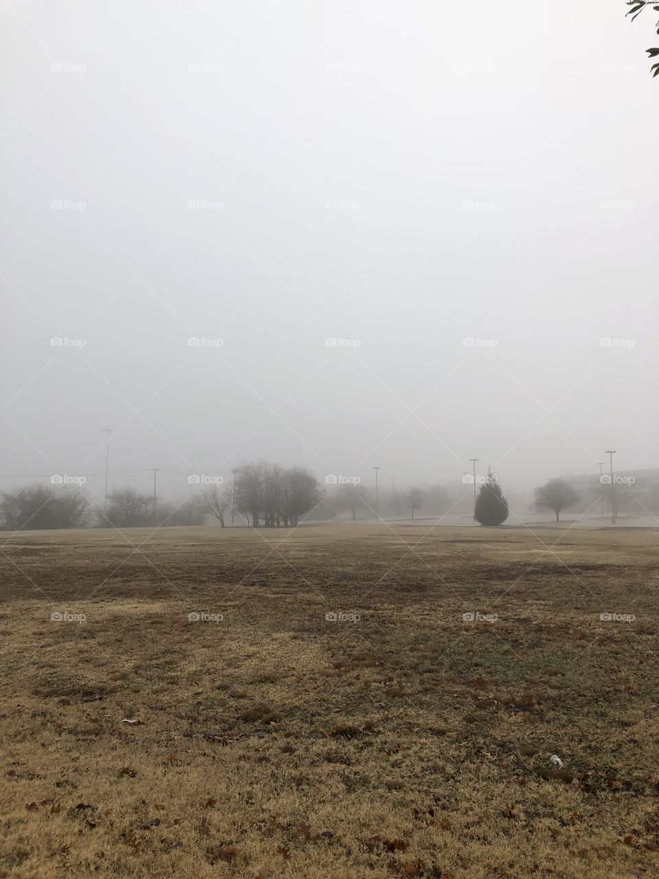 Texas Fog 