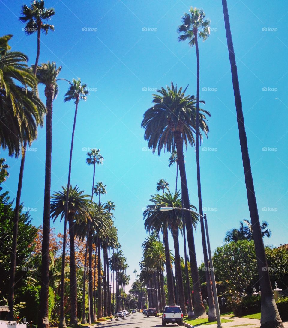 Beverly Hills