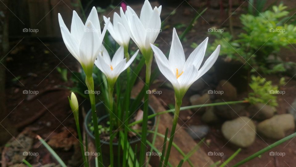 so so so so so white