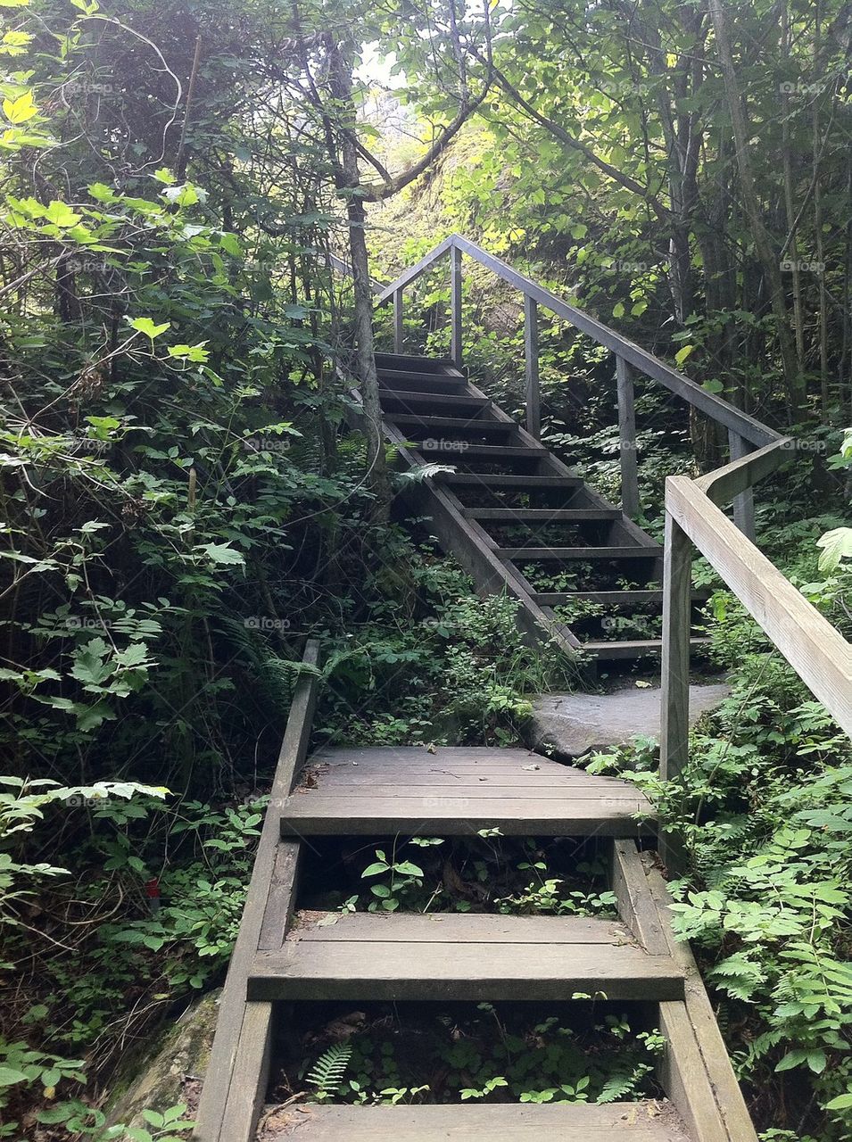 sweden steps stairs vegetation by glavander