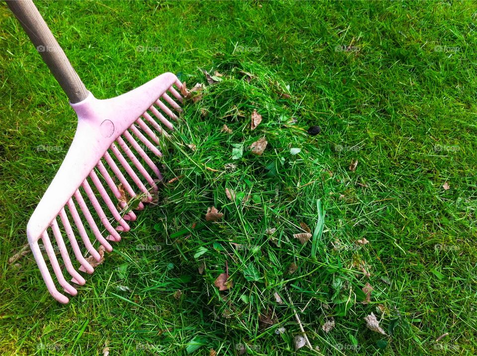 A heap of cut grass is raked up with a pink plastic rake in the garden.