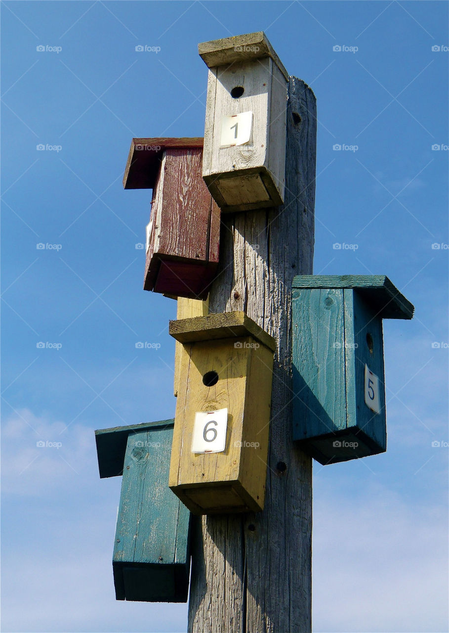 Ett bostadsområde för fåglarna