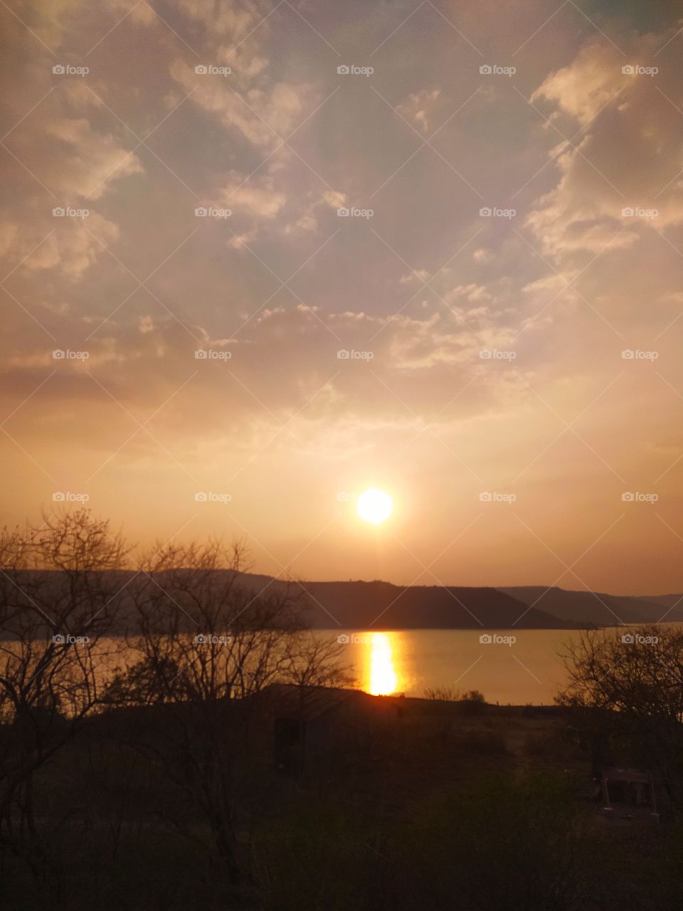 Evening Sunset Nature View Shot on Camera