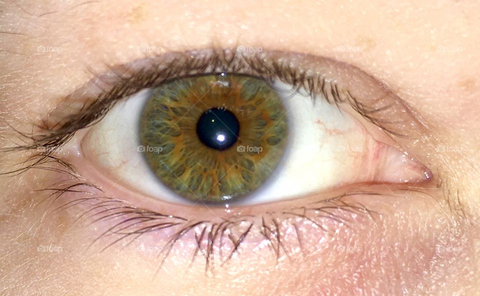 Behind these Hazel Eyes