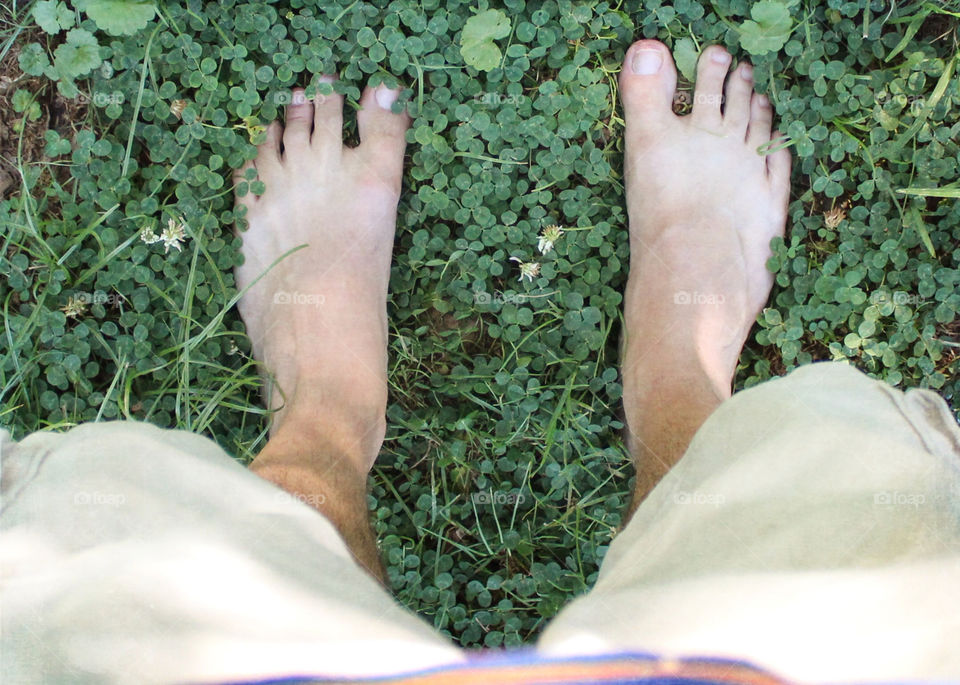 From where I stand in a clover patch