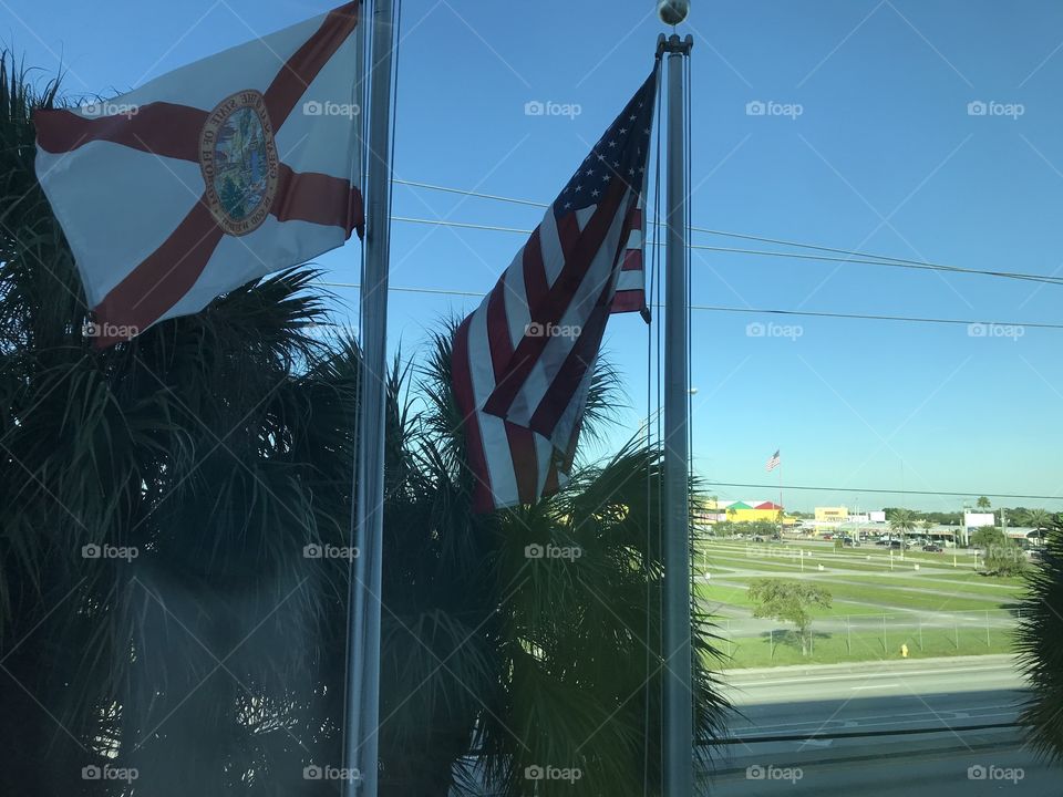 American Flag In Florida 🍊🇺🇸