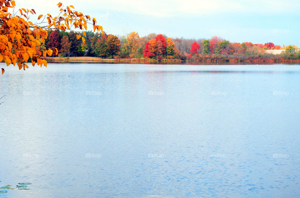 Nesmith Lake, Autumn - Portage Lakes, Akron, Ohio