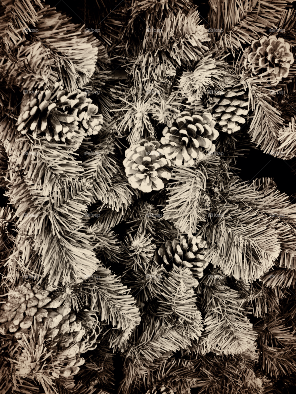 tree christmas cones by jbrinkler