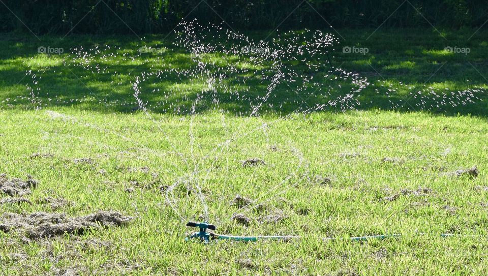 Summer and sprinklers 