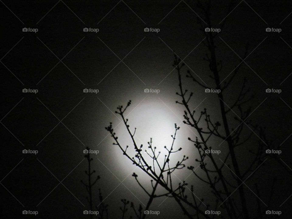 Snow moon and lunar eclipse under a cloudy, misty sky
