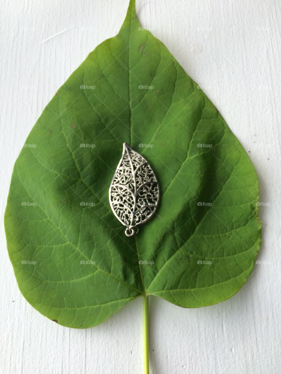 Leaf on leaf