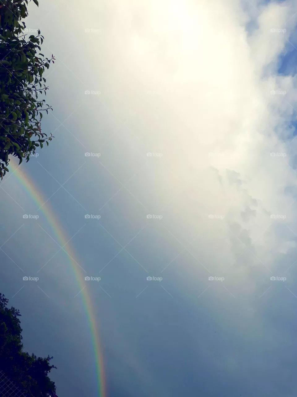 My rainbow day