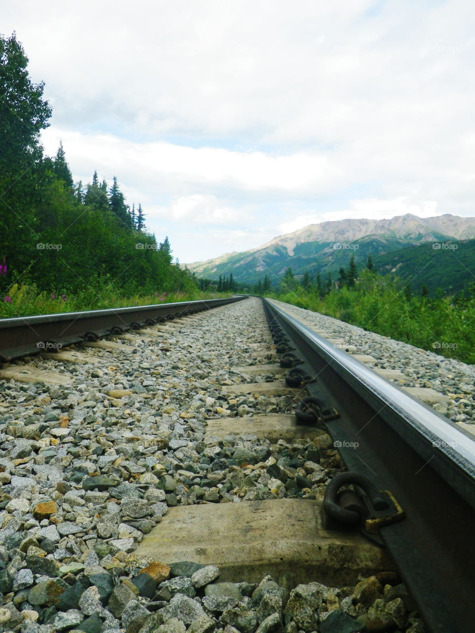 Alaskan Railroad