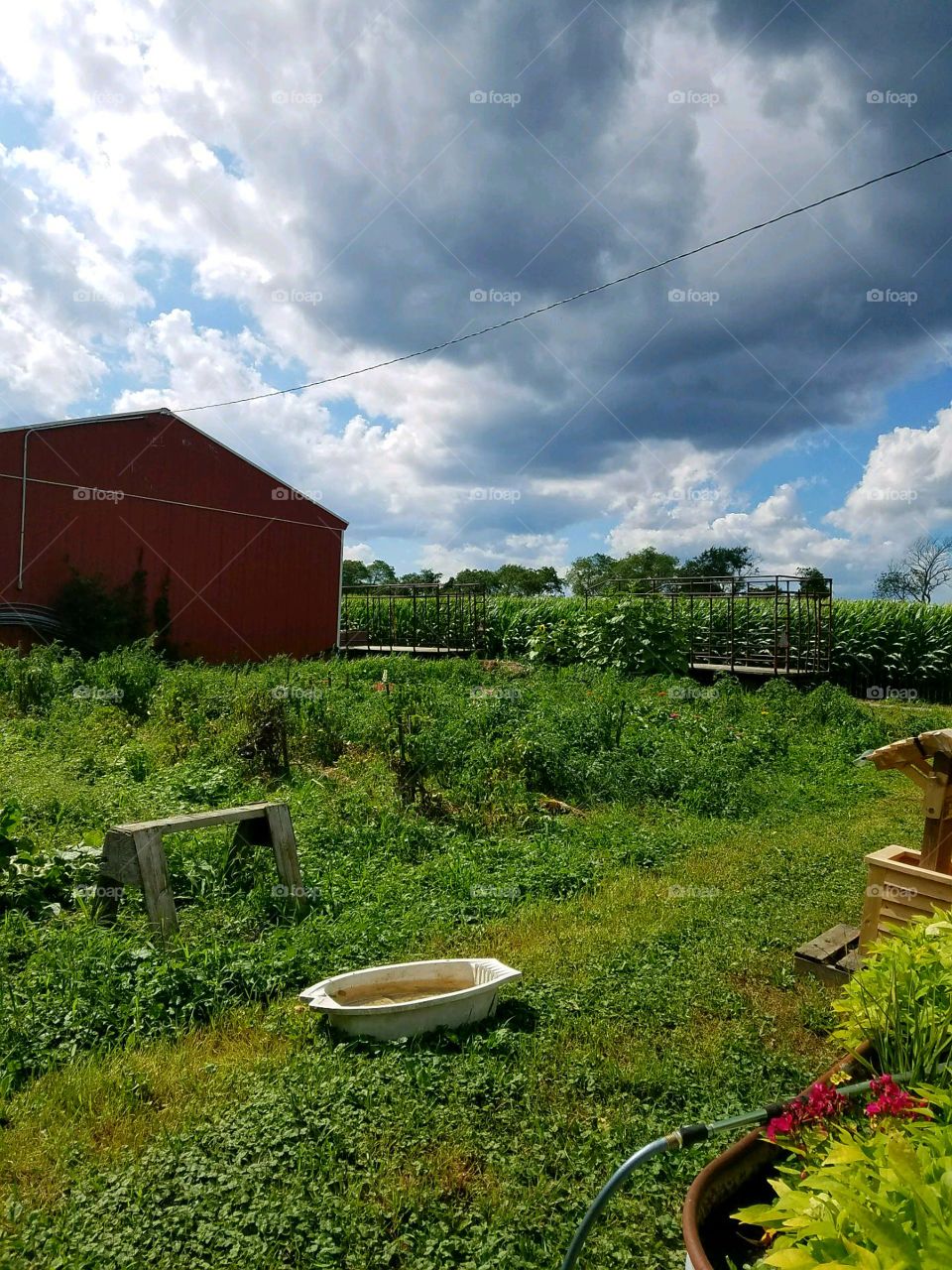 Vegetable garden, red barn, roadside stand business, sky & clouds.