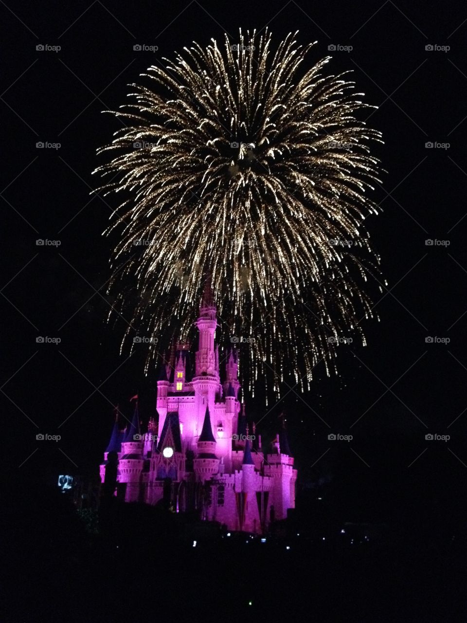 Walt Disney World Magic Kingdom 