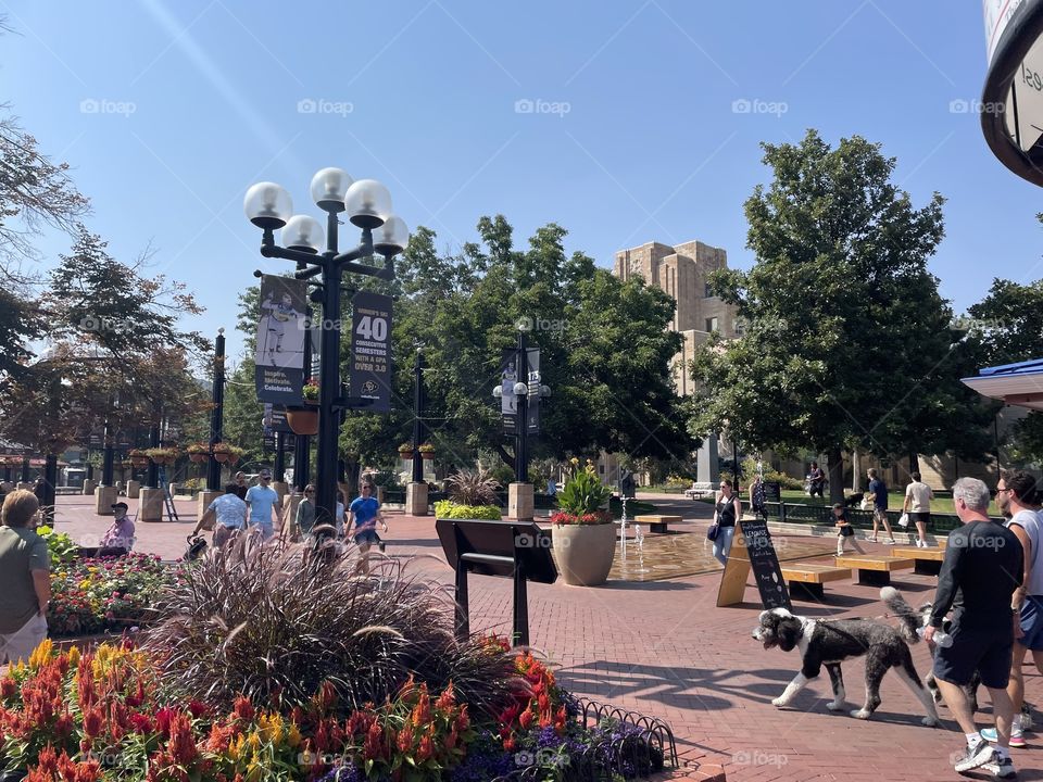 Boulder Pedestrian Area