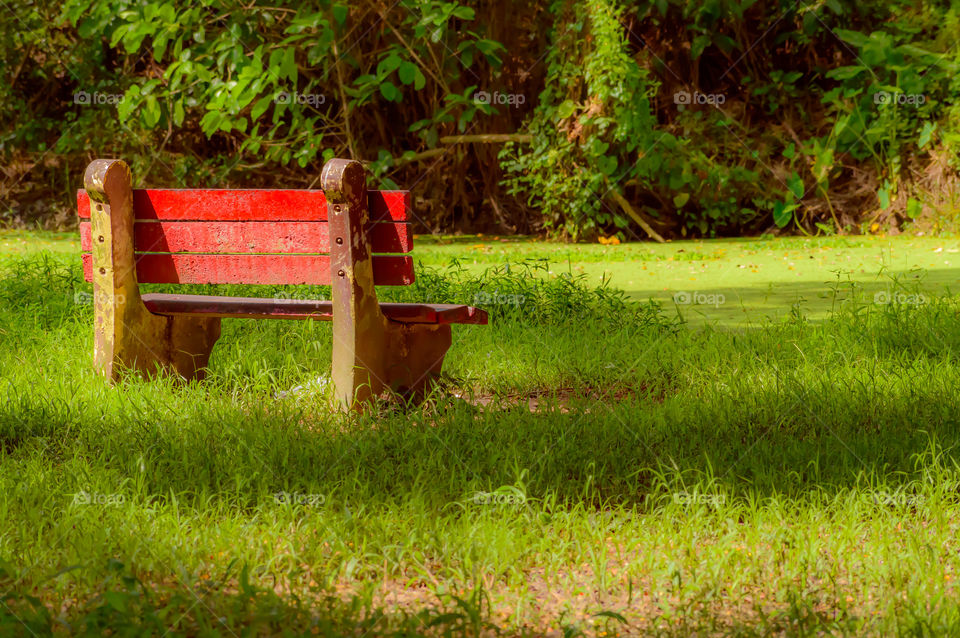 Red color bench in the autumn park. Single wooden park bench in a lush green botanical garden on tree background. ( Kolkata, India )