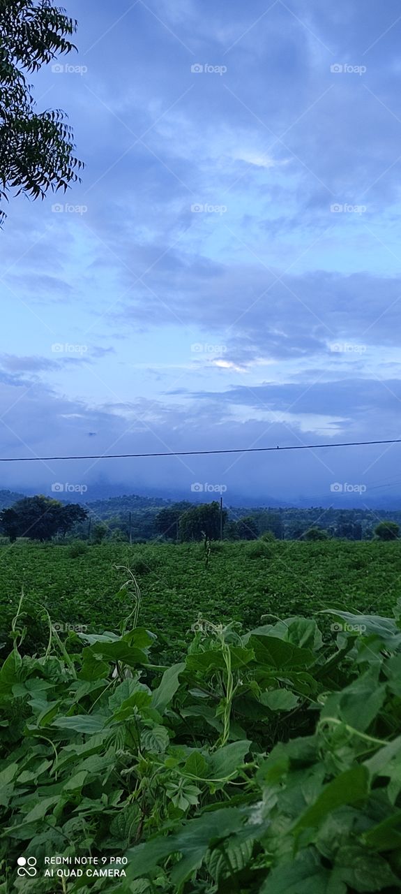 Descending on top of the mountains, the change is very beautiful and the mind starts to feel. Looks very beautiful.
Look more beautiful on rainy days.
It seems like a paradise looks very beautiful. Like heaven on earth