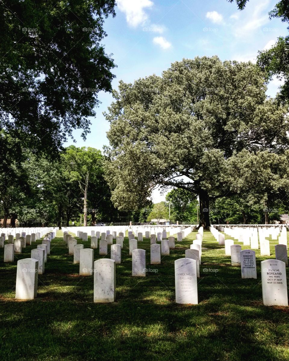 Rows of white grave markers against green grass and blue skies at a cemetery in Memphis
