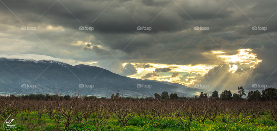 la nature comme vous n'avez pas vu