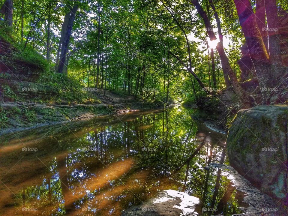 Beautiful Sunrays from the Atlantic and Pewits Nest