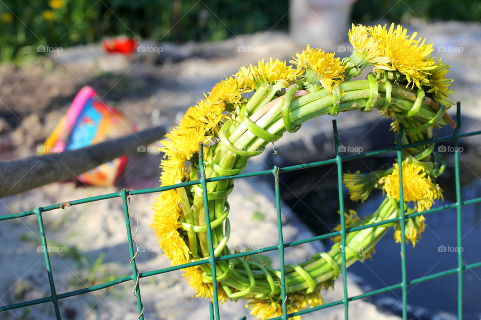 Dandelion, flower, vegetation, plants, meadow, meadow, village, sun, summer, heat, nature, landscape, still life, yellow, white, beautiful, furry,