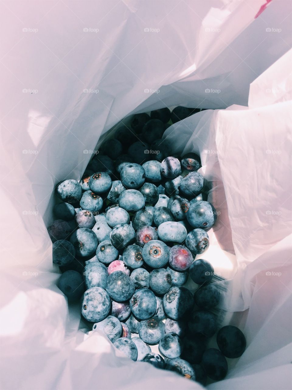 Blueberries; SC