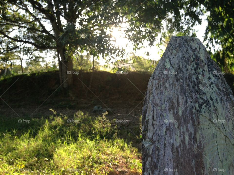 There's always a light