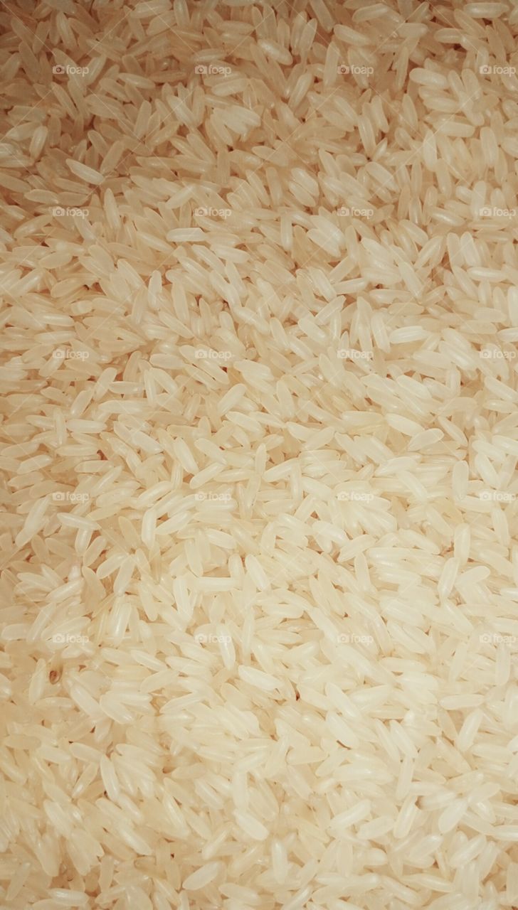 Rice