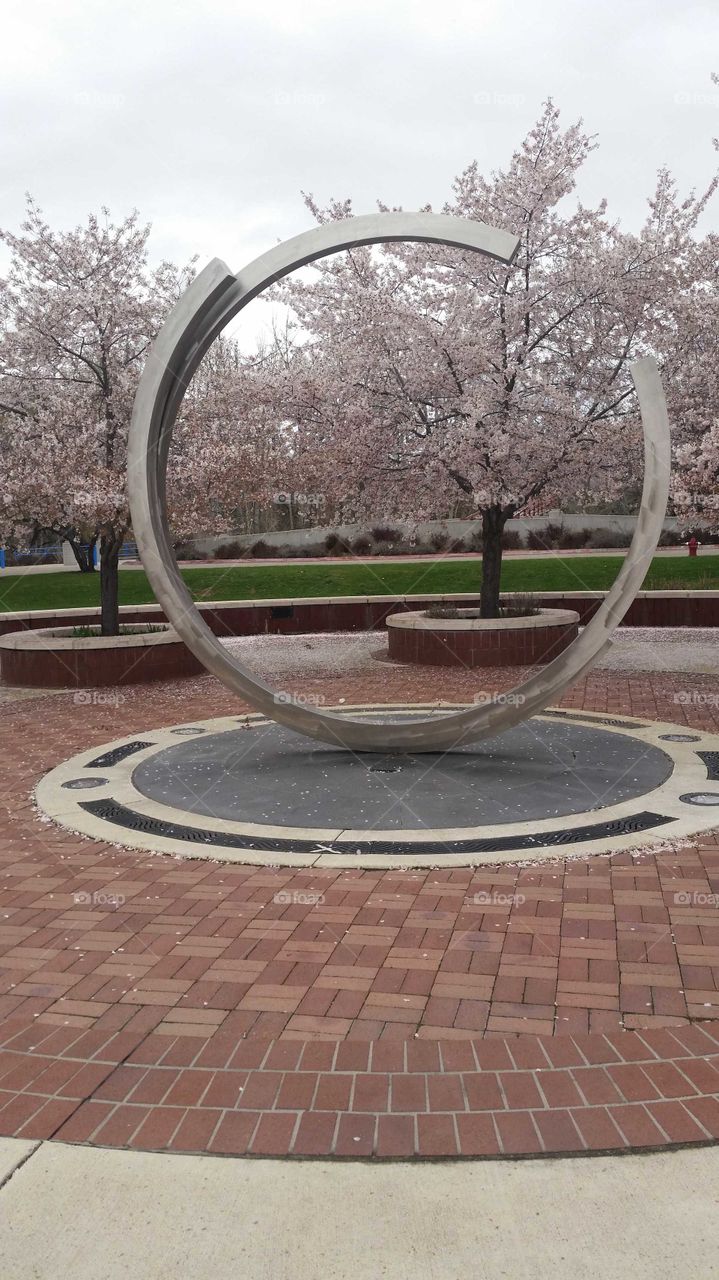 cherry blossoms in heavy bloom, giant circle is an art piece in a square,  beautiful landscapes,  peaceful