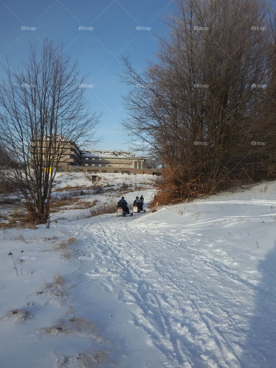 view of the mountain in winter