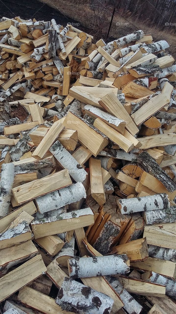 гора дров из березы на улице
