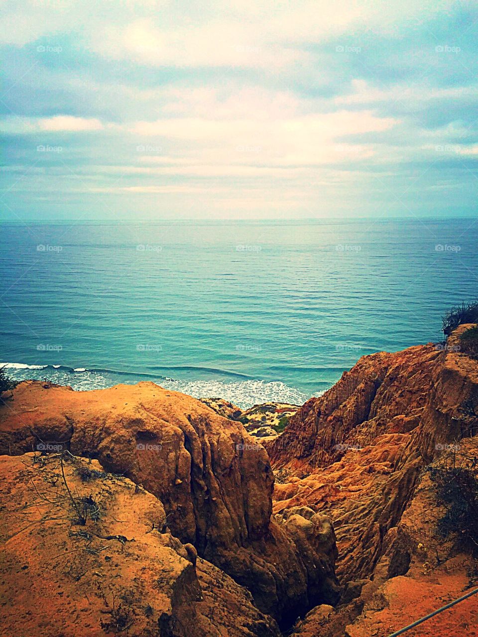 Torrey Pines