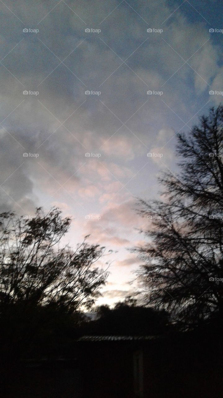 This is so beutifull moring pic