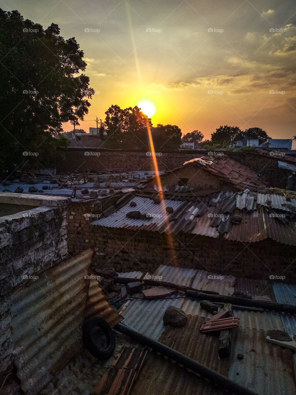 Vintage House in the village / Radiant Sunset / Quiet Evening / The Golden Hour / Beautiful sunlight flare / sunset behind the trees, house / foggy sky / vivid / memorable