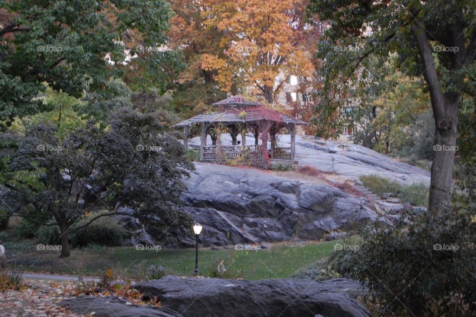 Summer House Central Park 