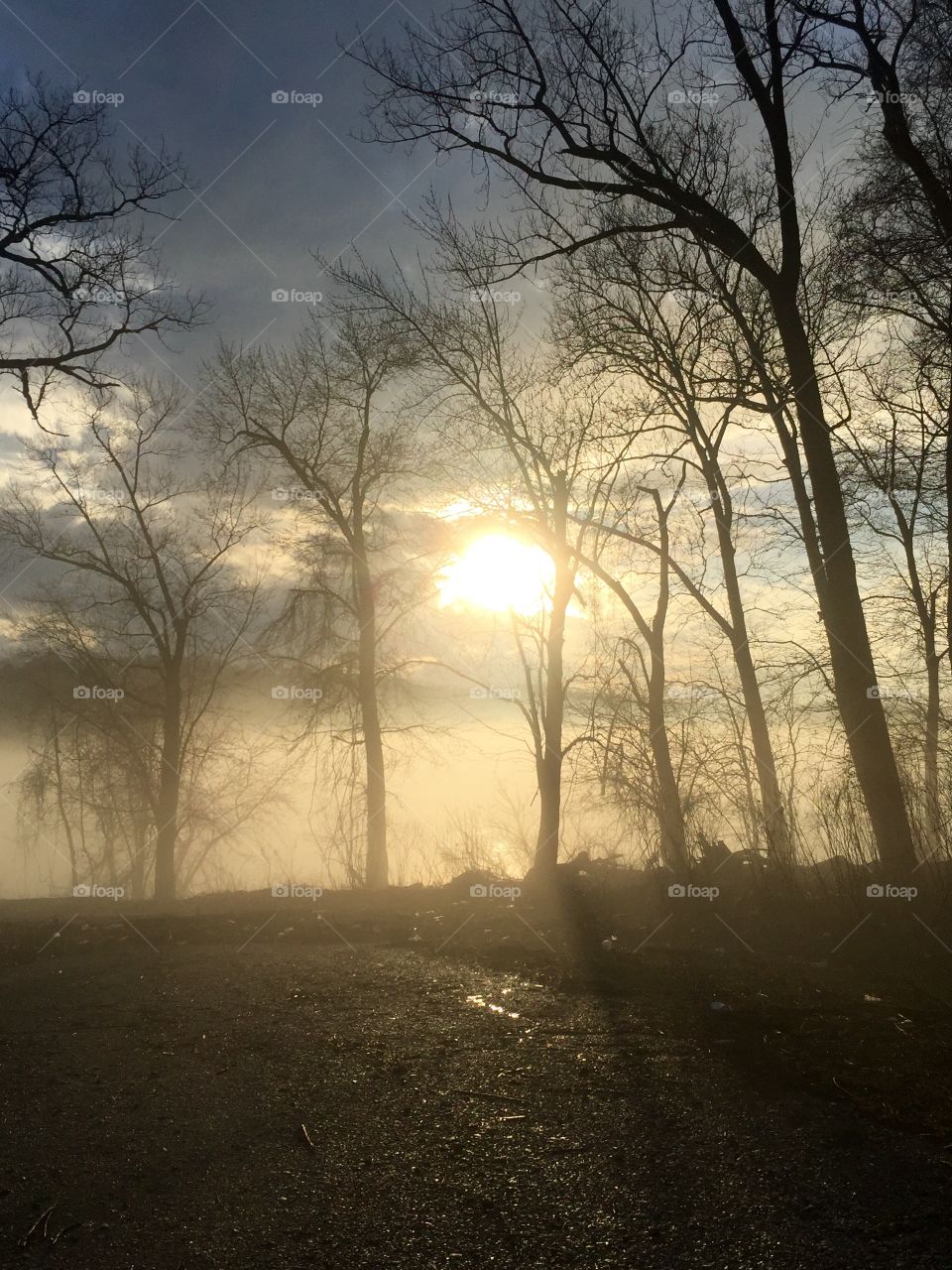 Foggy sunset by the Ohio River